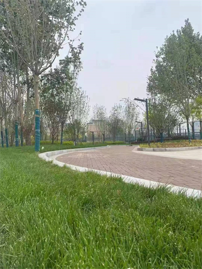 新火車站東廣場景觀燈安裝